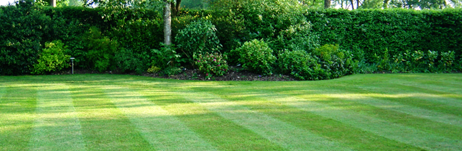 Hometown Lawn Services Northern Mi, Landscaping Companies Traverse City Michigan